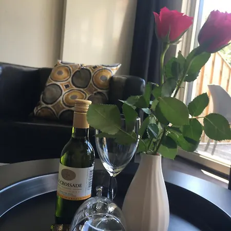 Rosa Arvensis 4* Lottum