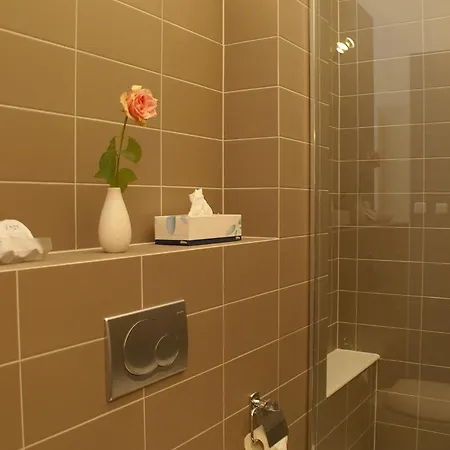 Rosa Arvensis Lottum