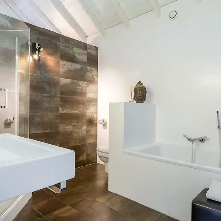 Rosa Arvensis Lottum