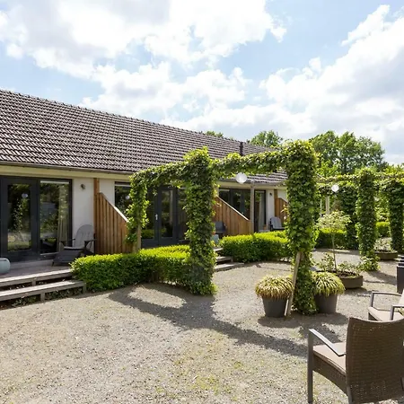 Rosa Arvensis Lottum