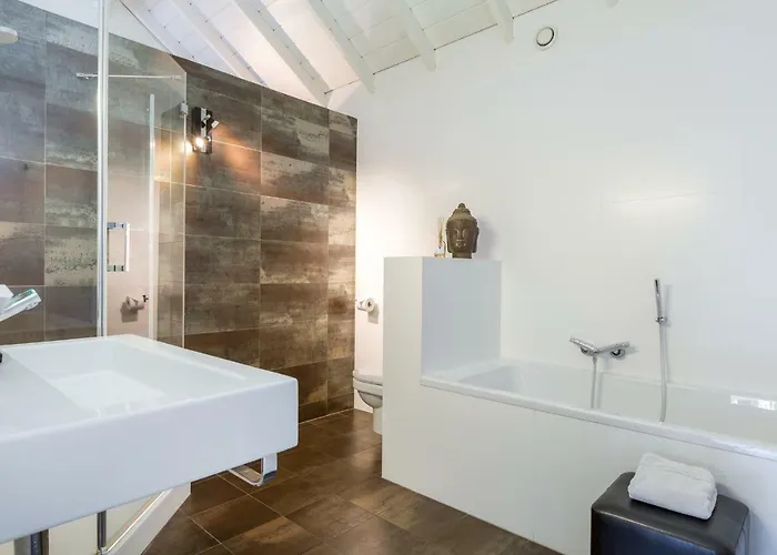 Rosa Arvensis Lottum