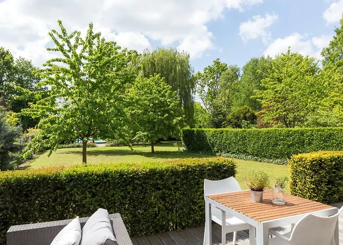 Rosa Arvensis Lottum