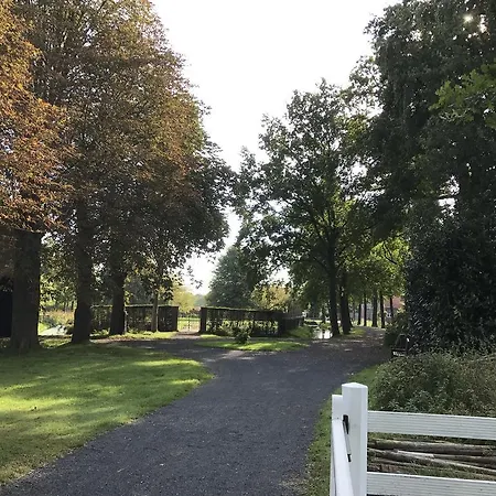 Rosa Arvensis Bed and breakfast