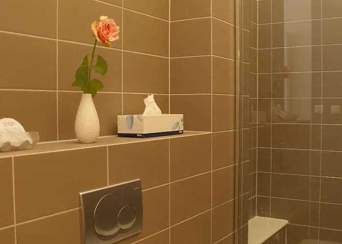 Rosa Arvensis Lottum