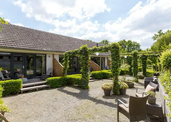 Rosa Arvensis Lottum